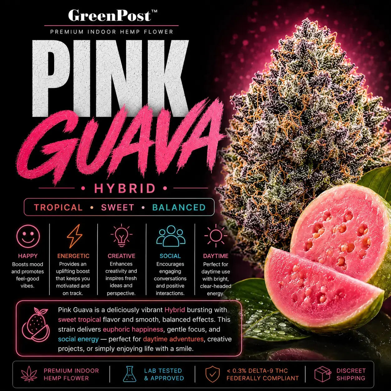 GreenPost Pink Guava THCA Flower Hybrid promotional product graphic featuring premium indoor hemp flower buds with tropical pink guava fruit artwork, sweet tropical citrus flavor profile, relaxing euphoric balanced effects and federally compliant cannabis alternative hemp flower.