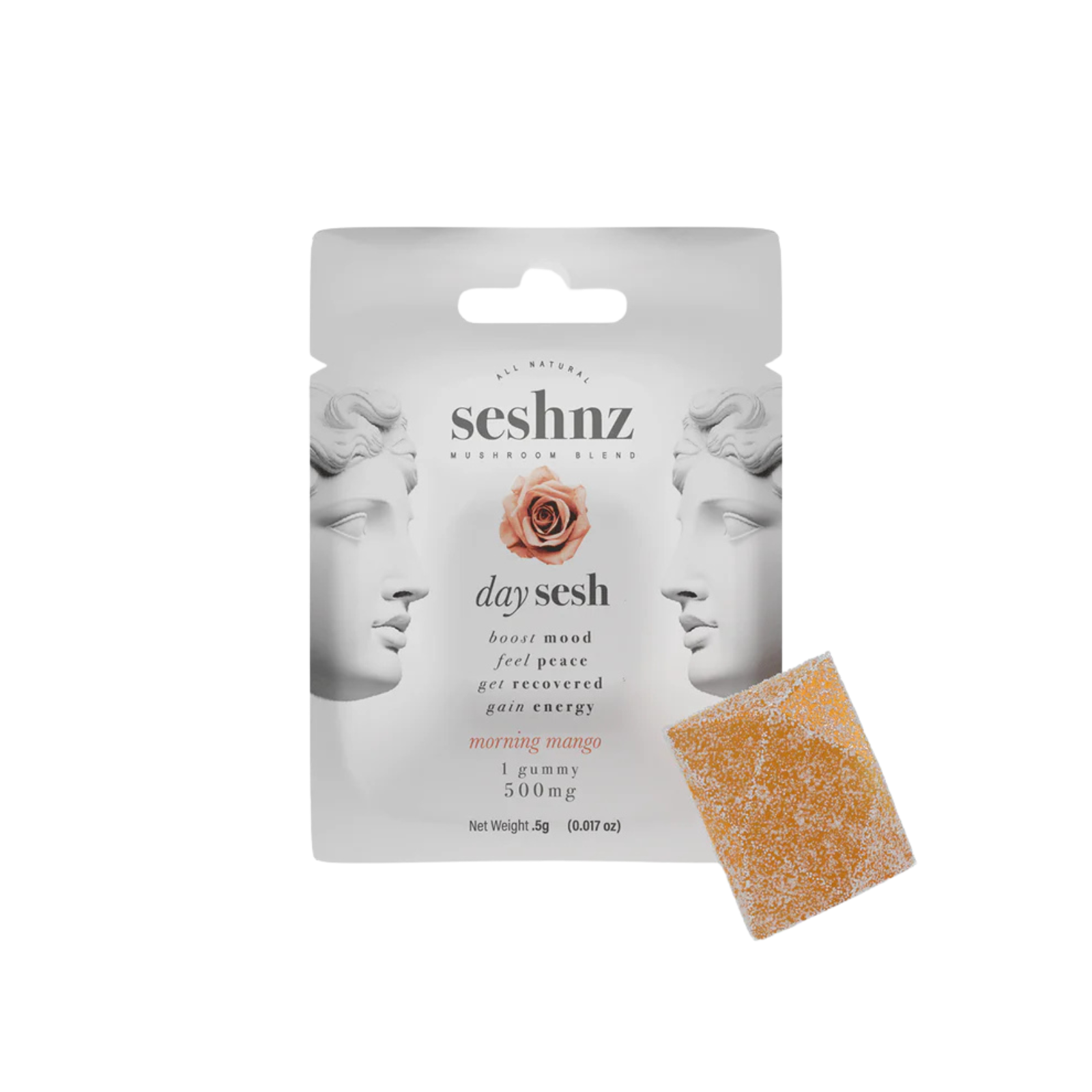 Seshnz Mushroom Blend