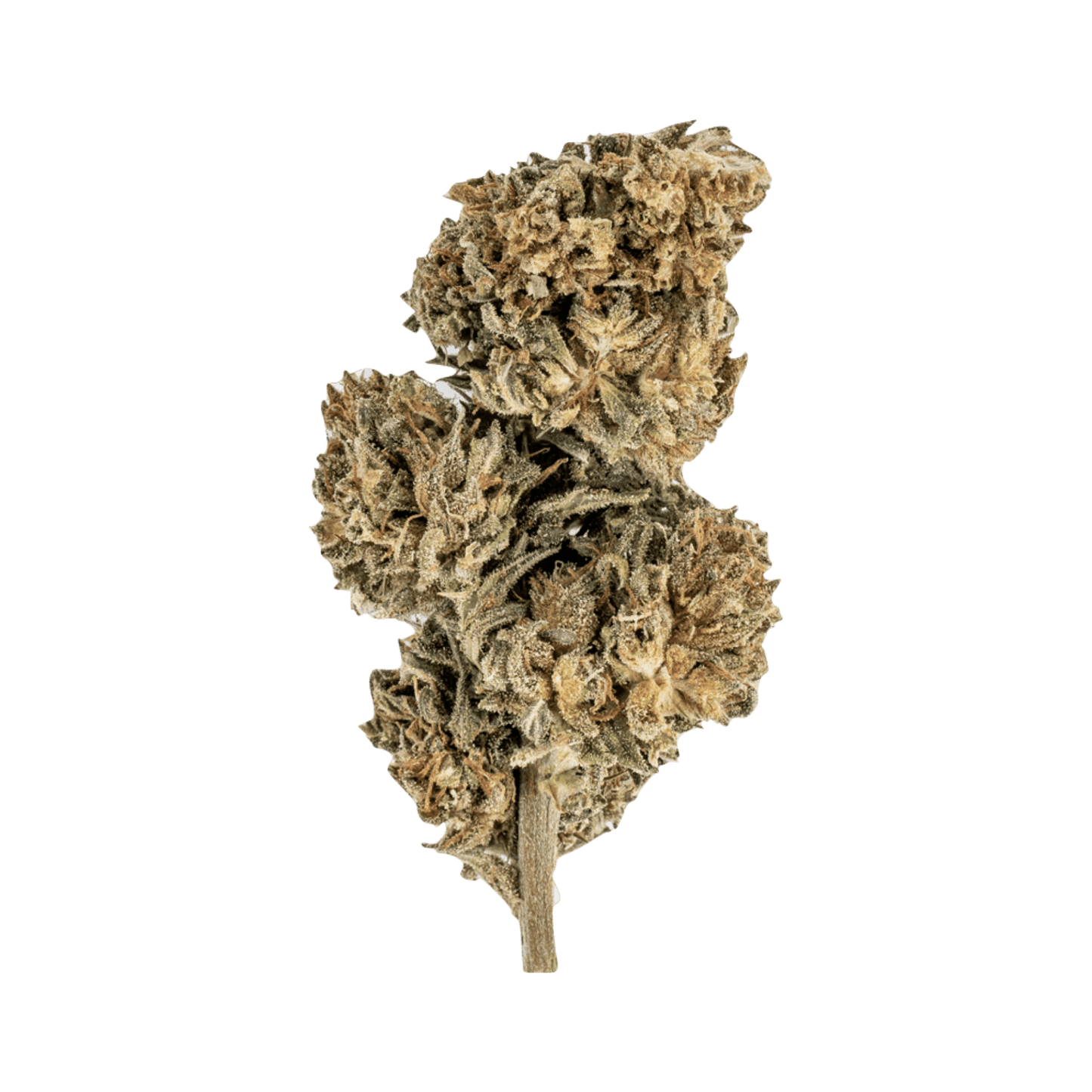 Silver Haze (Sativa) - GreenPost CBD - www.GreenPostCBD.com