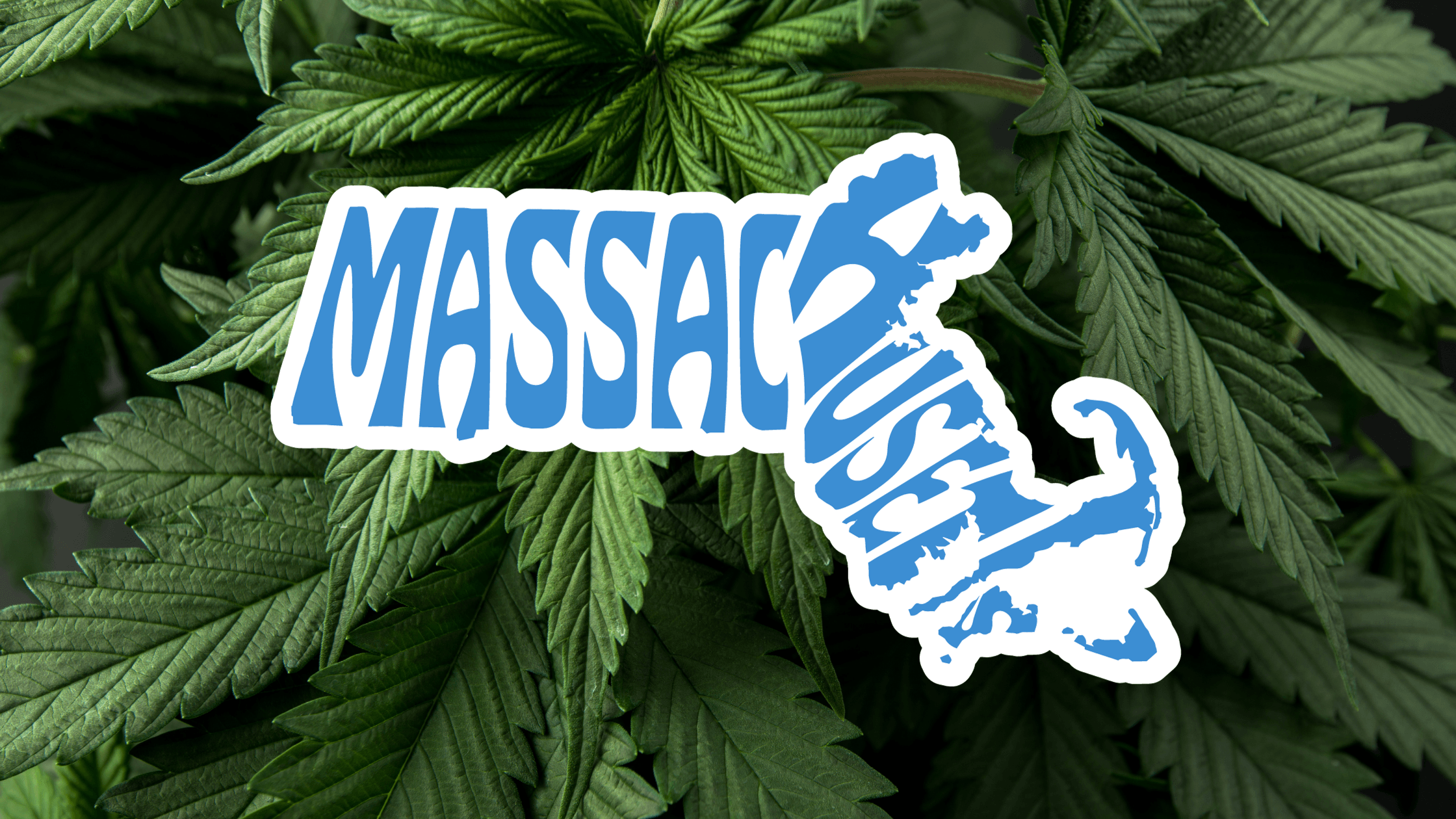 Is Delta 8 Legal in Massachusetts? - GreenPost CBD - www.GreenPostCBD.com