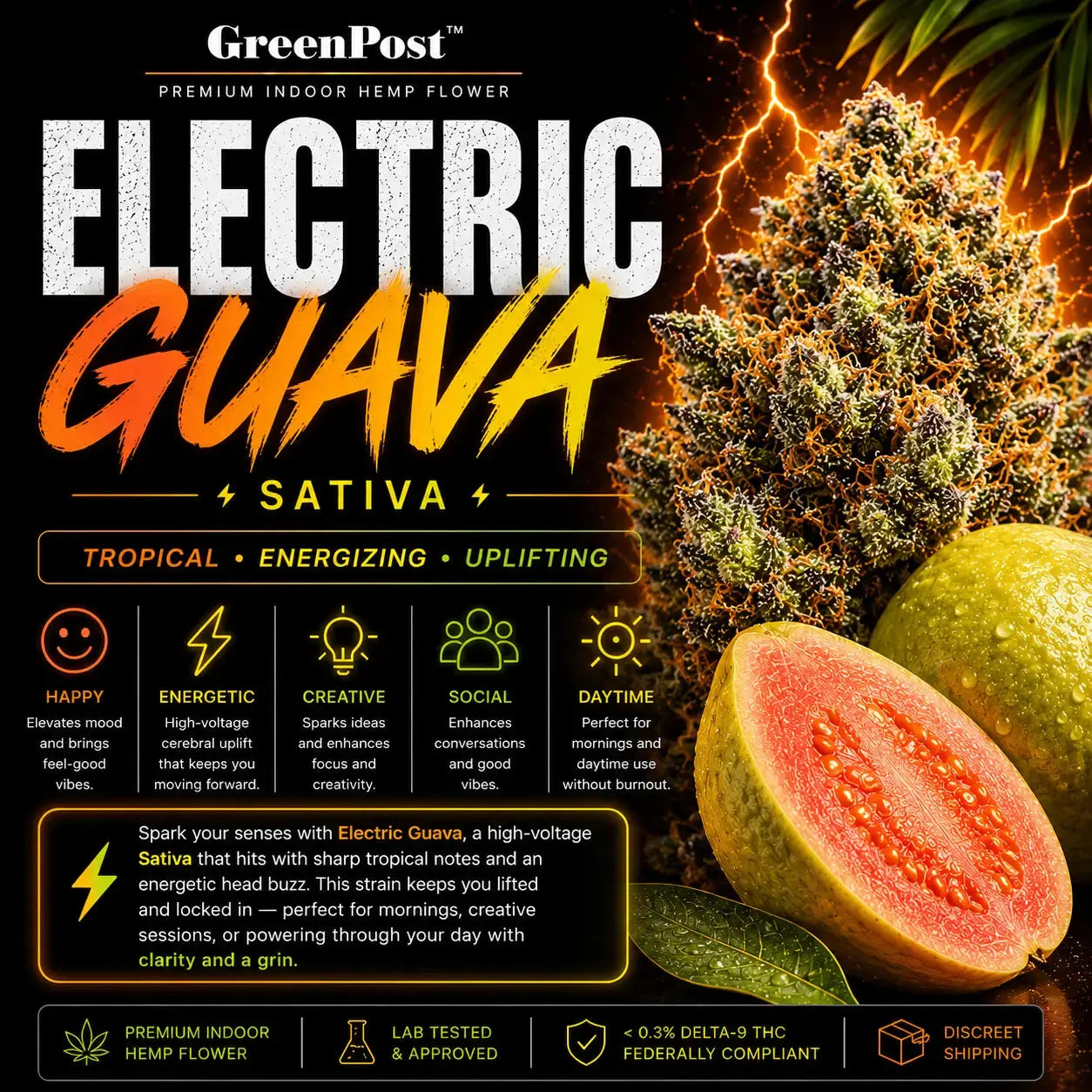 GreenPost Electric Guava THCA Flower Sativa promotional product graphic featuring premium indoor hemp flower buds with tropical guava and citrus artwork, uplifting energetic creative effects, frosty trichome covered cannabis buds and federally compliant hemp flower cannabis alternative.